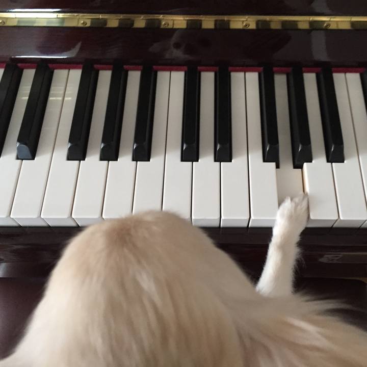 E1adf453 730a 441c b187 811da2658d62