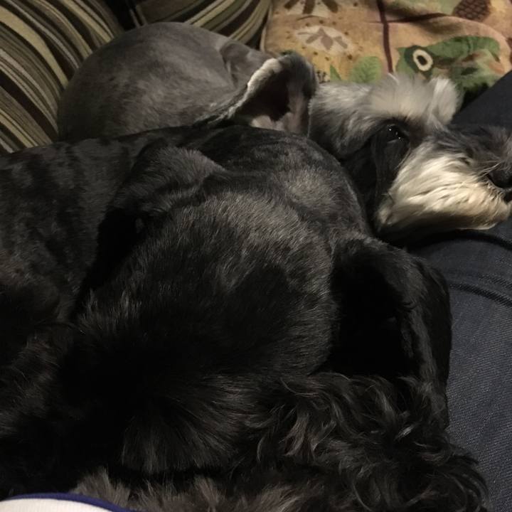 E1ae0037 f770 47d8 9b18 914a08676923