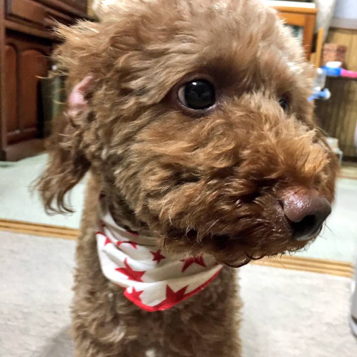 E1ae44f2 a499 4a1d 96b8 ea353c571d00