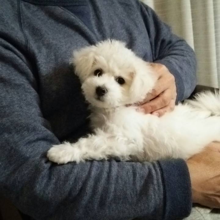 E1af75b3 9258 496a 9f28 30a164cb068f