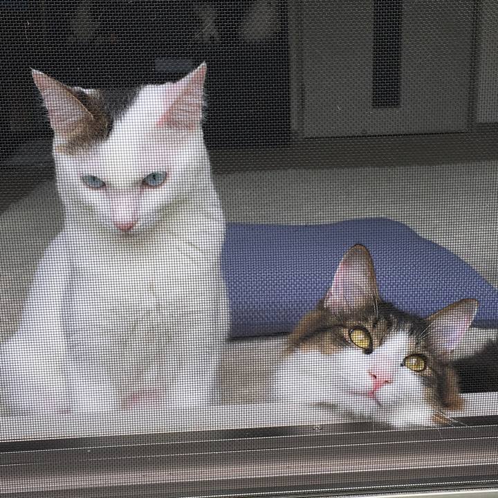 E1b041c9 3afe 4105 8bad 59e494a9cf86