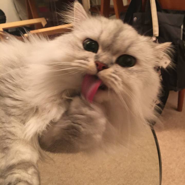 E1b06c39 e76b 4e1a 9baf dcecf9c543bb