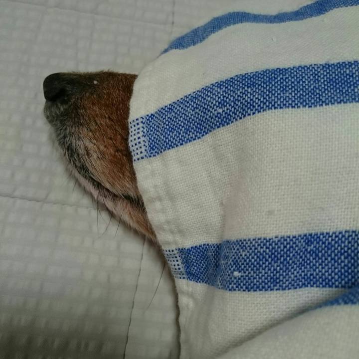 E1b09ffa 4714 413c a478 6555dd55d79d