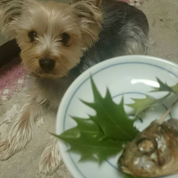 E1b0a651 f293 436d b80d 42ae0ed40d86