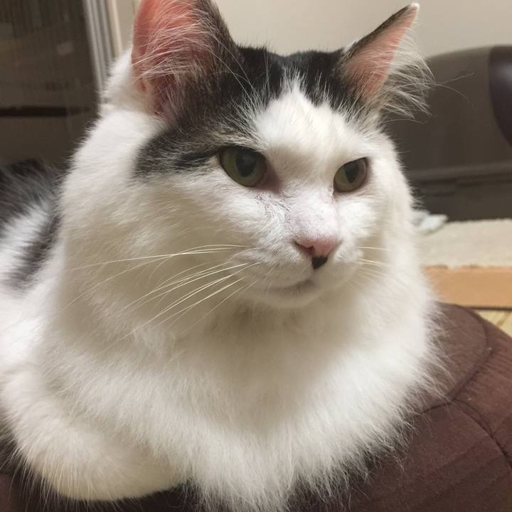 E1b13592 9d17 4d0d b3db ea7ad9b92963