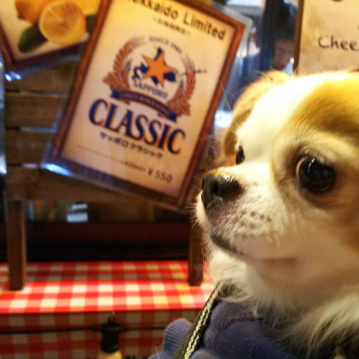 E1b1d353 dec1 4615 8ded ebc3bc972c02