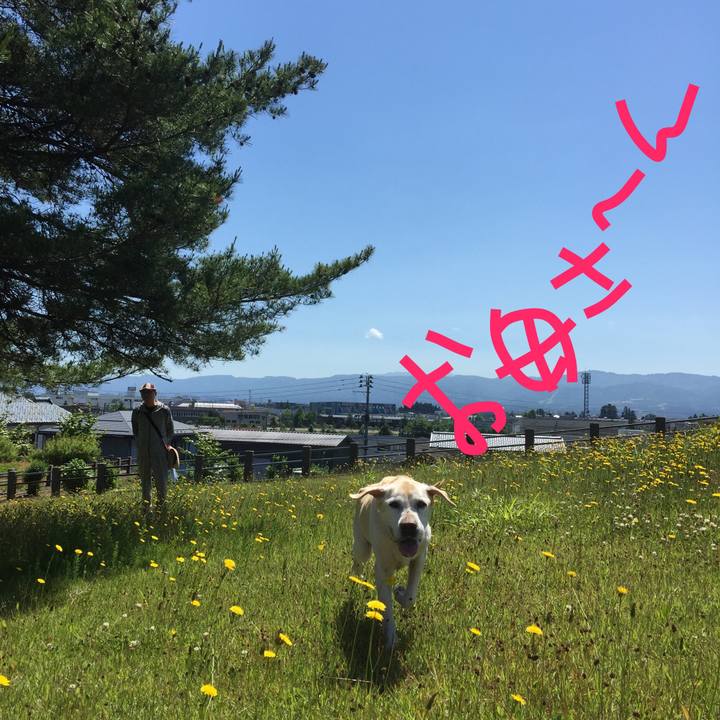 E1b203f5 f6dd 4f24 9c06 4578c72ee5dd