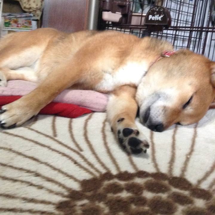 E1b223be 6aad 4127 8f90 bf25bfb52cc1