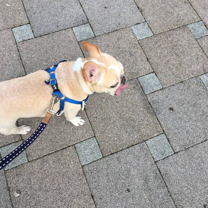 E1b32891 b4cc 45e5 be57 6f5c9f528f2a