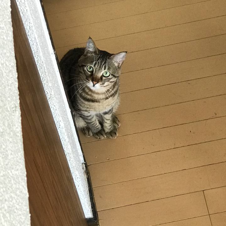 E1b34377 5804 454f 9c1a da6915cf39ac