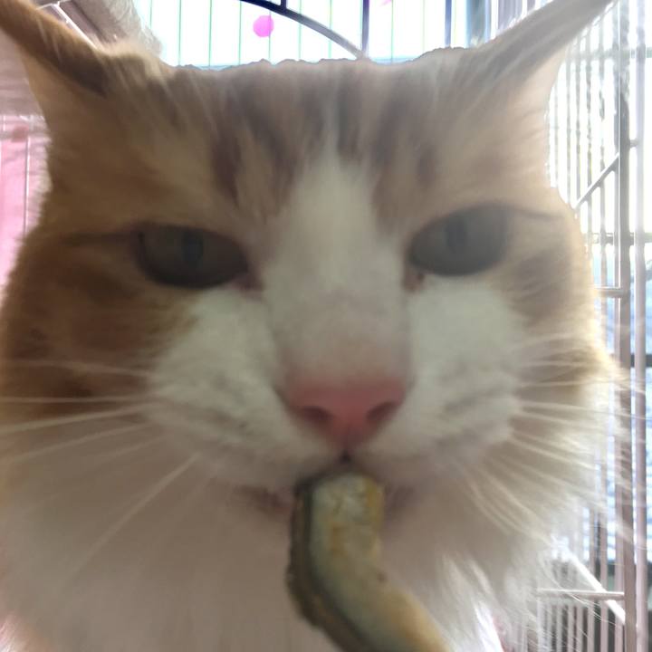 E1b35d11 52da 4aef 8280 17ba67bf088d