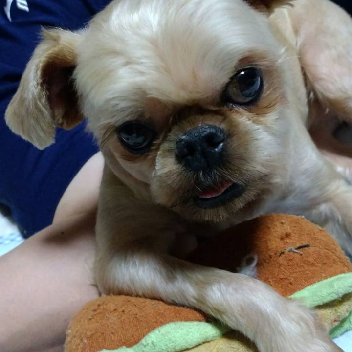 E1b41857 987e 40dc a23b 28656799c507