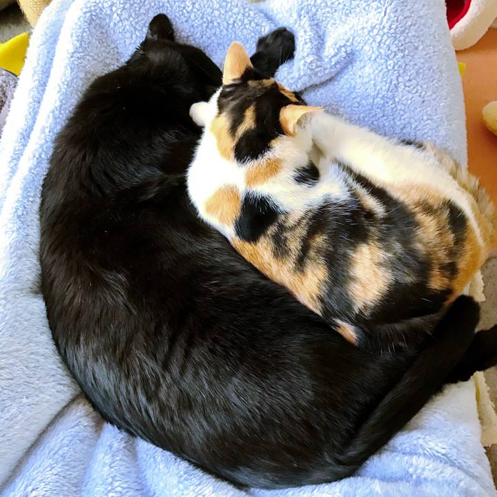 E1b5128e 8f82 44b2 ad9a f54e4e4abaed