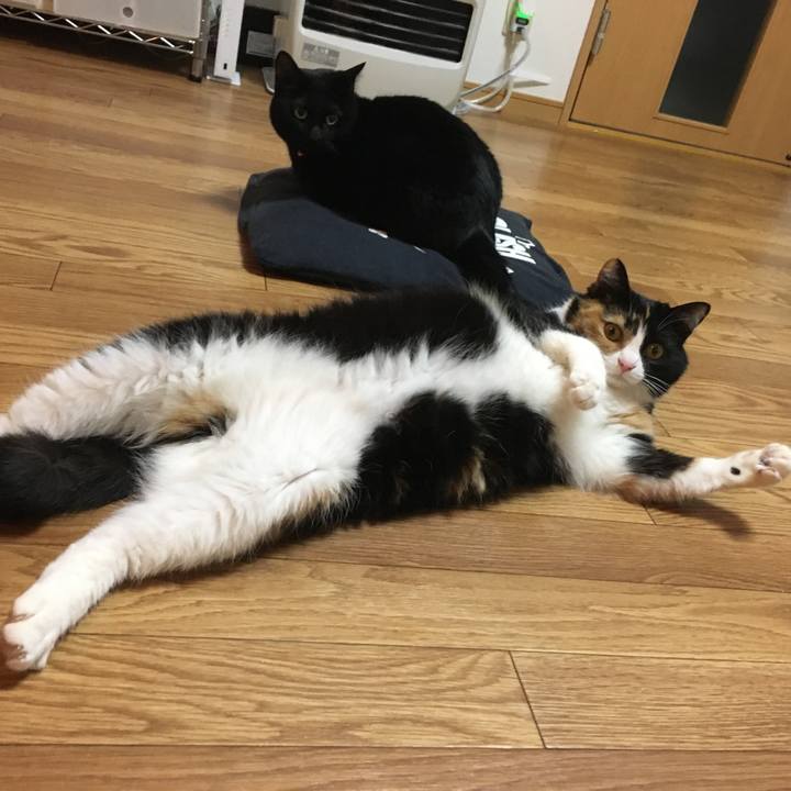 E1b51ca4 2573 4e37 9867 437d7914742e