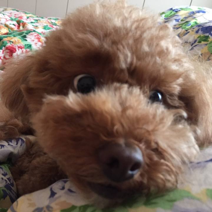 E1b55971 d7ee 4070 81c1 4de0697f8ed4