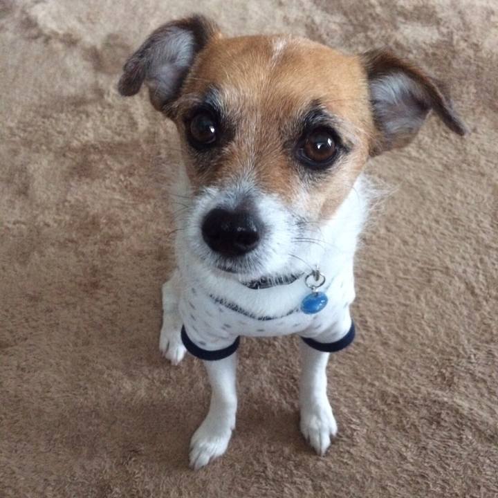 E1b575da 7198 4798 9c71 ab802fee2b55