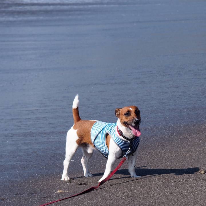 E1b5989f c996 4486 84d2 47ba80629e03