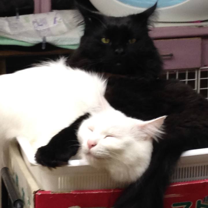 E1b5be33 dab2 443b a867 8e7ca178027b