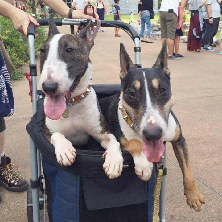 E1b72f9c 9a5e 426f b3ac 5f7d5d425220