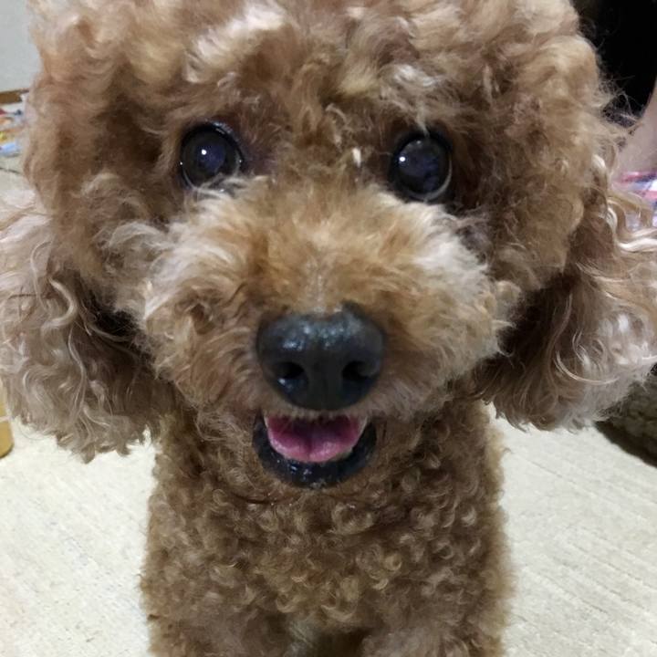 E1b73d0e 3bfc 4e38 a51b 25d5b18a2fbc