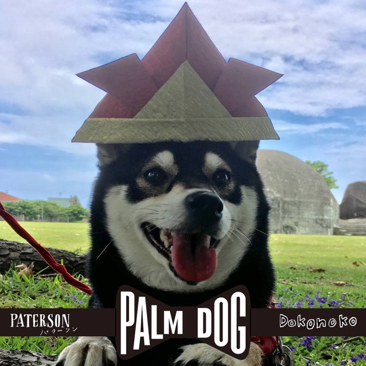 E1b756d3 85fc 4dfd 949c 5bf15148edaa