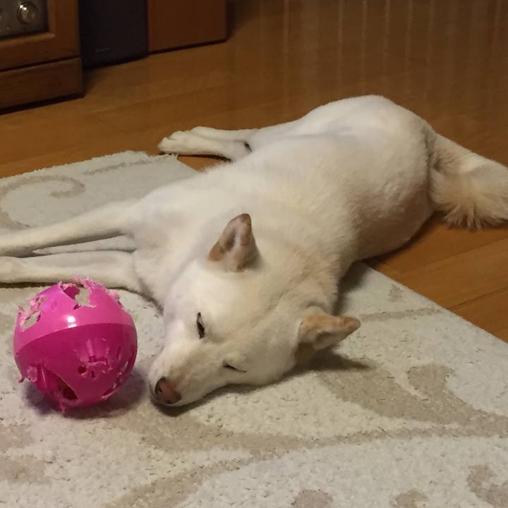 E1b99ecf 516e 4b23 8143 38816826a7a0