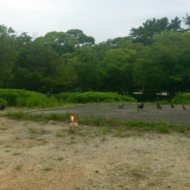 E1b9e782 385c 4d0d b483 3639658f3aa4