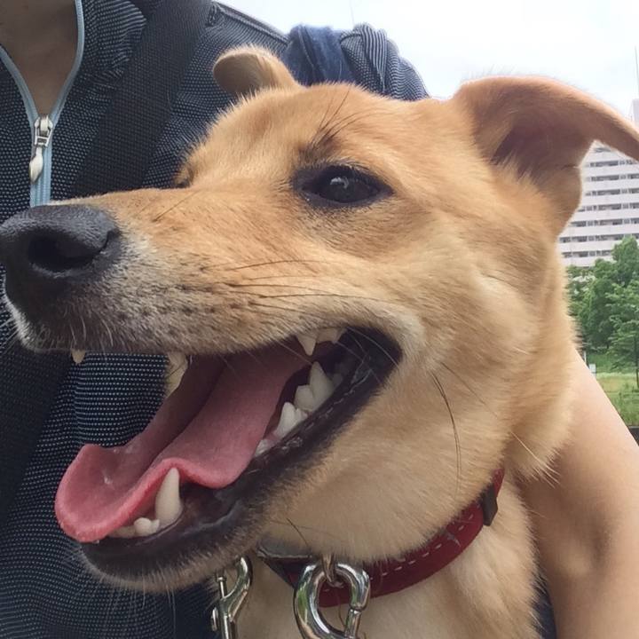 E1bbb28a e669 45bf 826e 7f6ed85fb65f