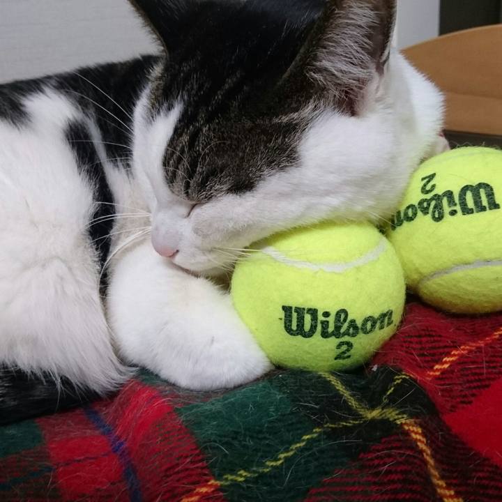 E1bc1c47 6136 4eeb a92d 92b6eb53d08c