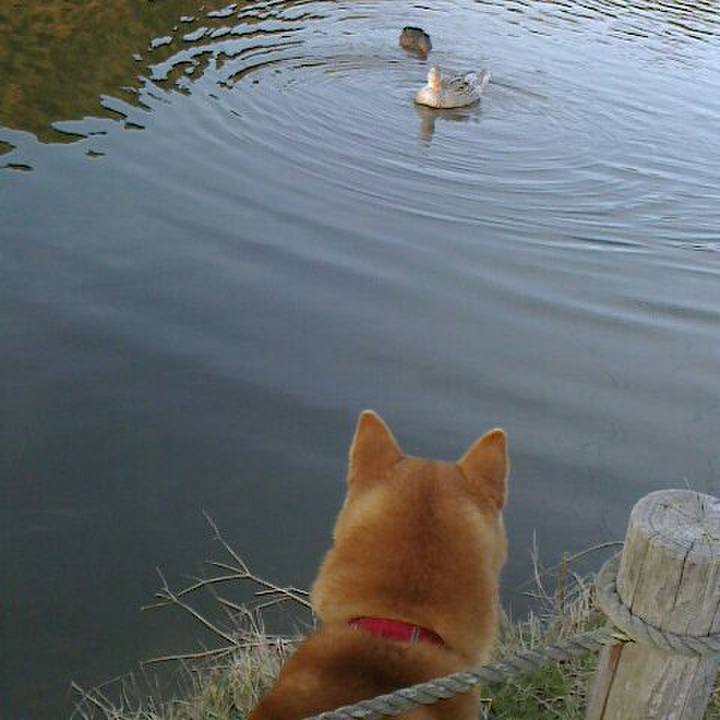 E1bc52d2 757d 43d8 8a99 3f8d6b1a073b