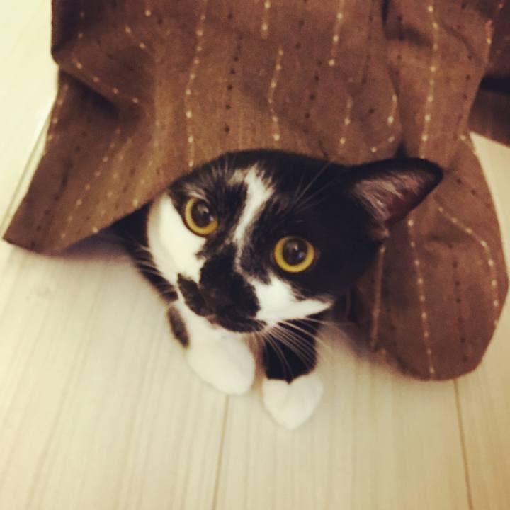 E1bcac87 4dea 43f8 a85e 4ad8d72c7f8d