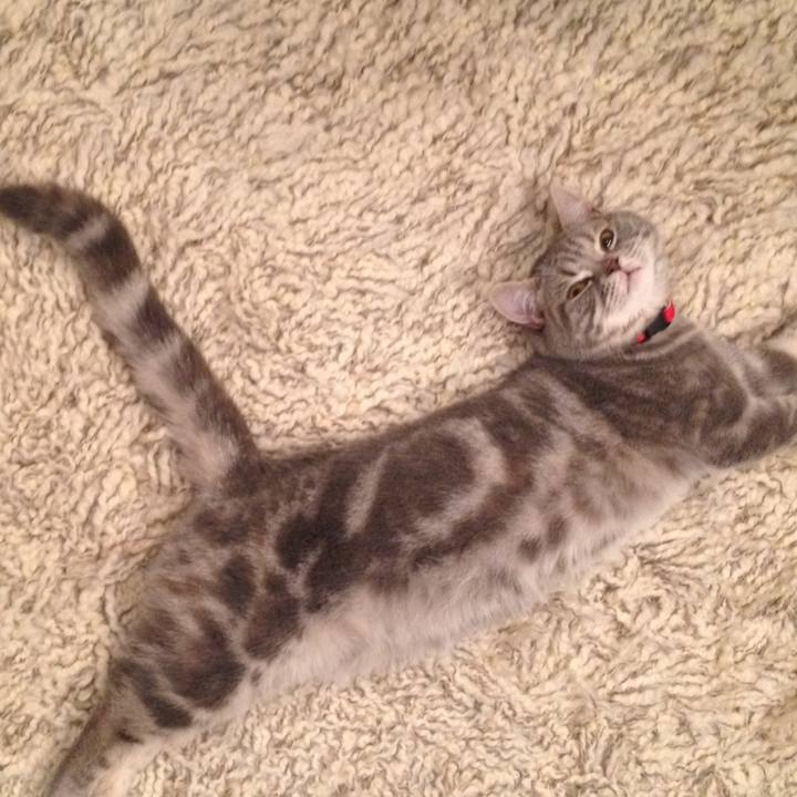 E1bcc888 dfee 47ed a2f0 413b1990372a