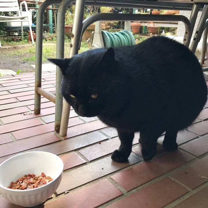 E1bd03fc fbd3 4da6 a057 d701b9aed04d