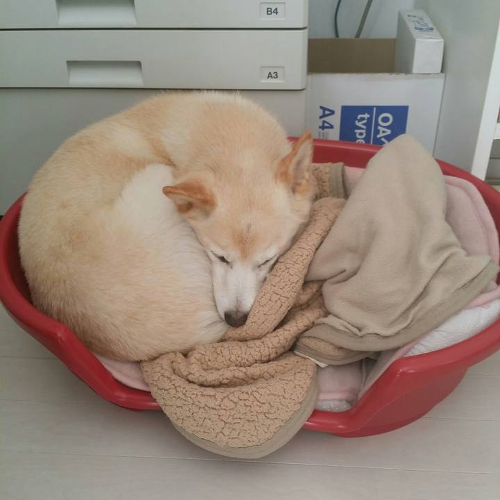 E1bd0dff 89ce 461c 9598 262aac3b03b8