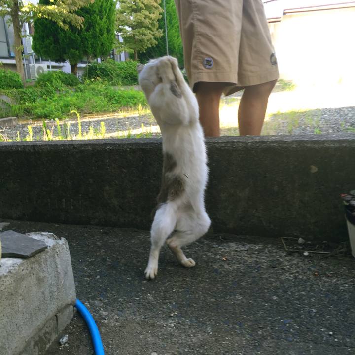 E1bd2d0c 62f1 46ca bd41 7e2bbba53165