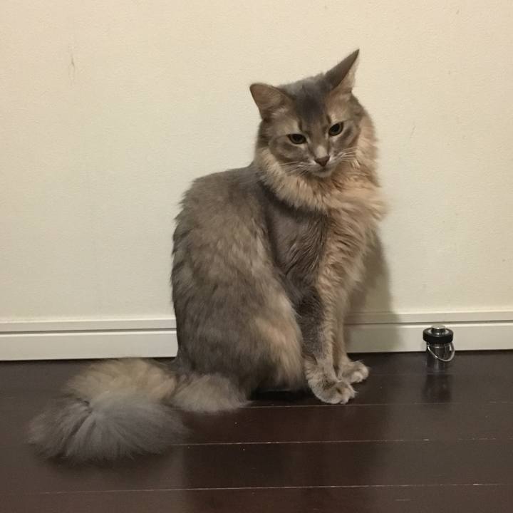 E1bda05e 7ce2 4da8 bf9e f88e3aa064be