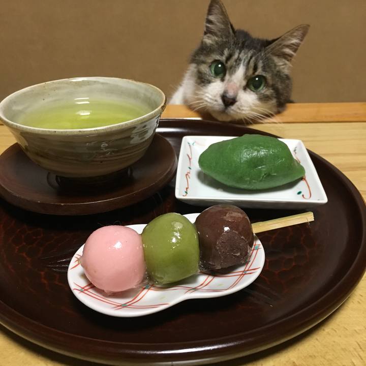 E1bdaf7c a852 46e8 a2e8 690231c70358