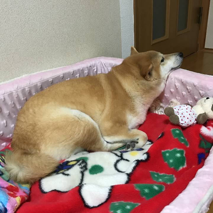 E1be0e06 0463 4ff9 b1eb 365ef5352e76