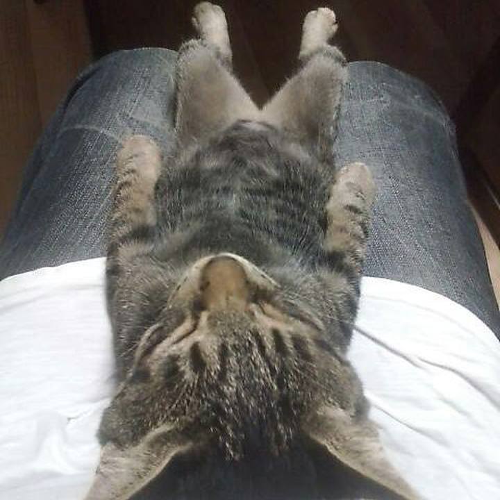 E1be4353 833b 4443 af53 bb308968e32a