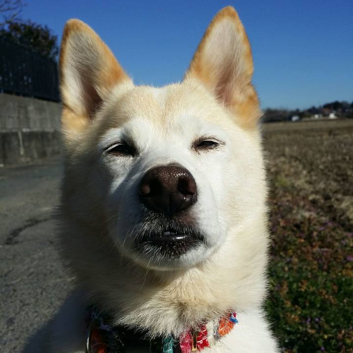 E1bf9672 2739 4cbd ba3d f9514e689e5a