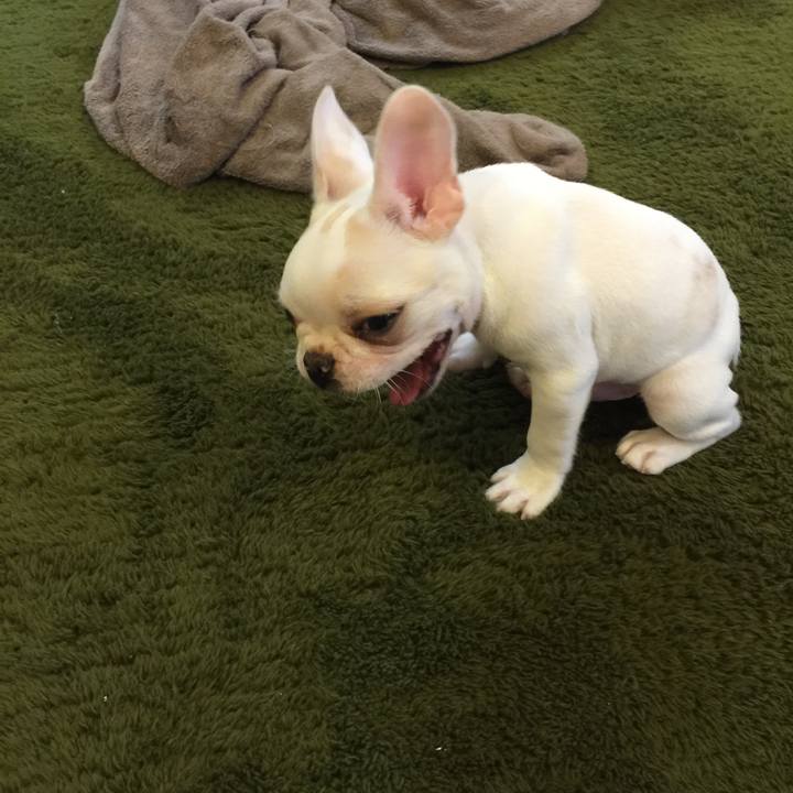 E1bfdb46 d480 42f1 87d3 b23e26904a55