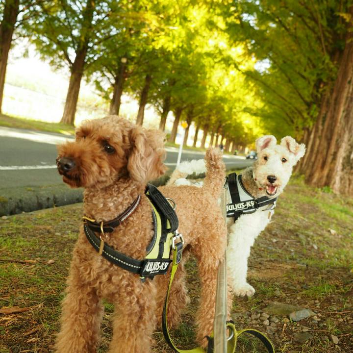 E1c02227 0981 4cad b8ef 00c230e1dbce