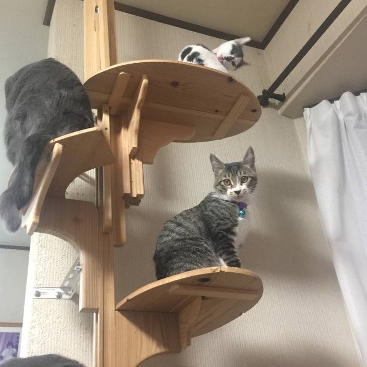 E1c0b44c 9e5b 4879 bc86 c0b7c664054f