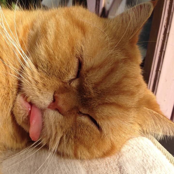 E1c0d682 1a30 4d41 ac96 9f6cb38b6fcc