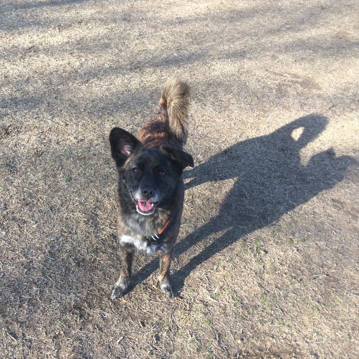 E1c11c55 0233 41f3 a631 007a036c6f84