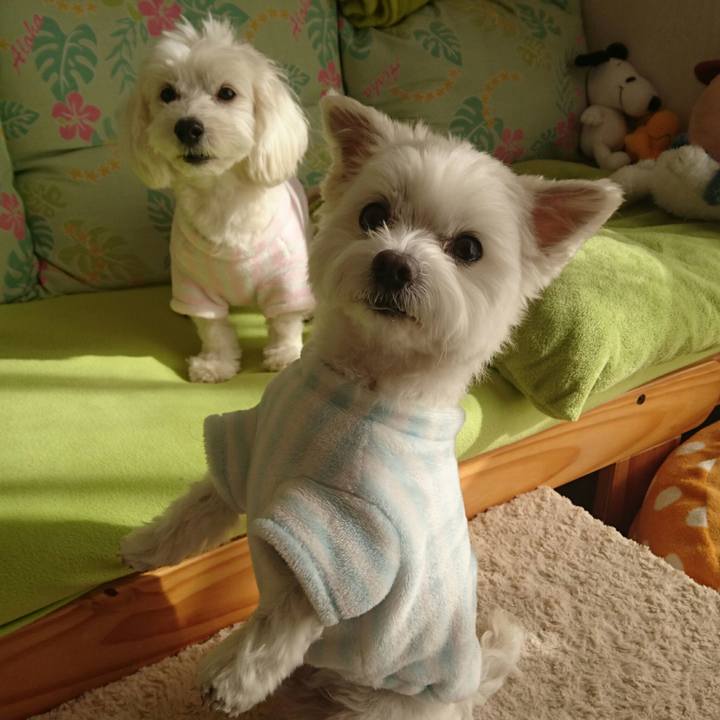 E1c13859 d2d7 481d 9451 ead8957824a8