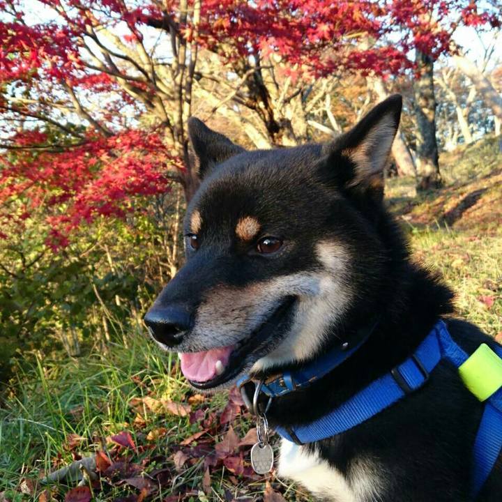 E1c2181f d303 49ec a7f4 f7332424d39a