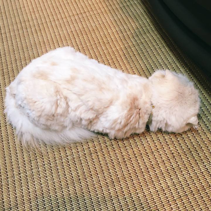 E1c2395a 99db 4b83 94d8 00493046bd4b