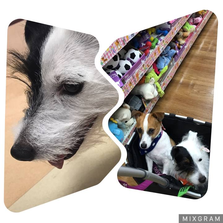 E1c2ea44 9459 41f7 b230 136d00912867