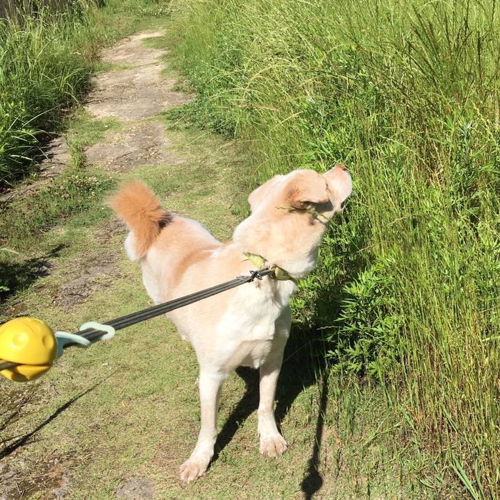 E1c40c6d dbb4 4fb4 b415 4b9a95cc1361